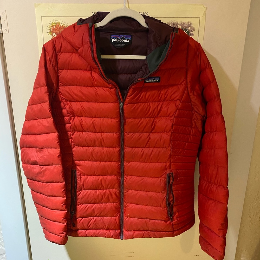 Patagonia Down Sweater Hoodie